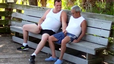 older gays have sex in public park