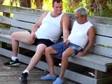 older gays have sex in public park