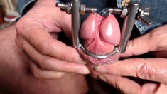 the big opened peehole of my penis