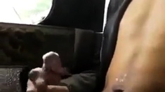 Boy's Hidden Wank In Public Bus