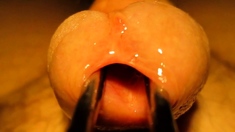 Urethral sounding and stretching with cumshot