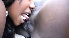 Black whores fucking each other's cunts